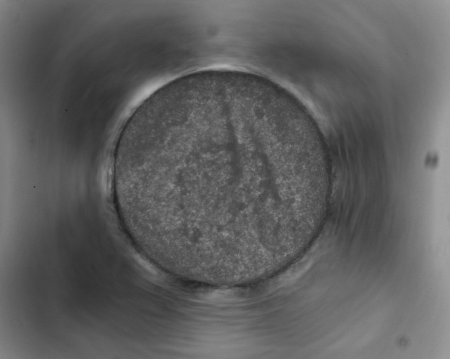 X0000102801367200809150919