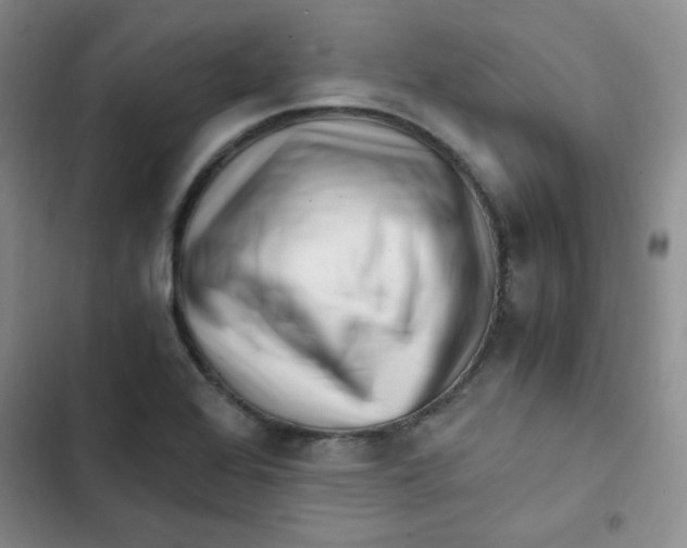 X0000102801368200809150919