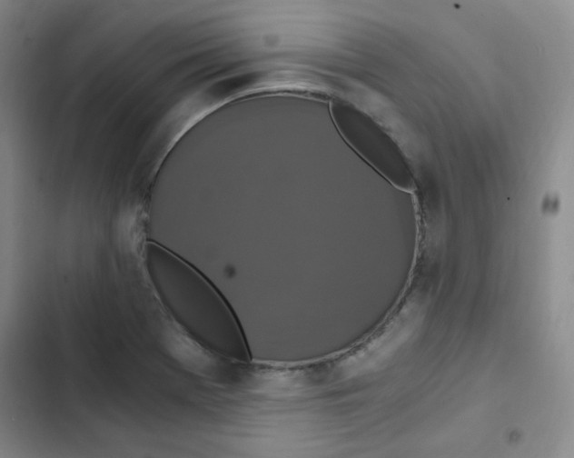 X0000102801369200809150919