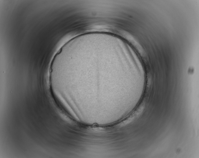 X0000102801370200809150919