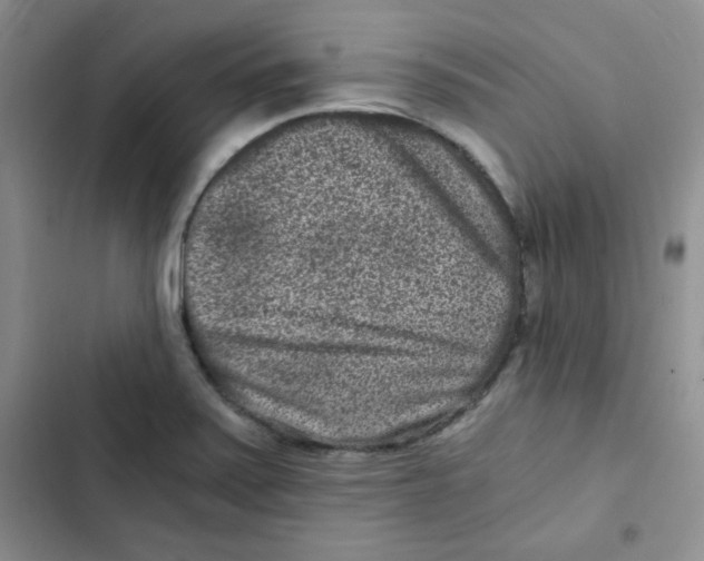 X0000102801371200809150919