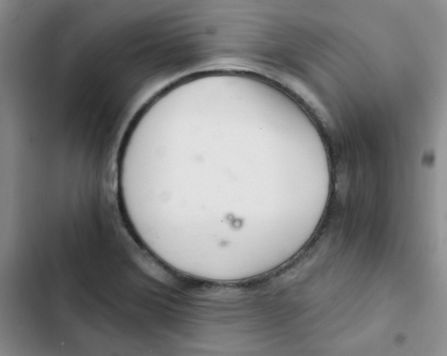 X0000102801372200809150919