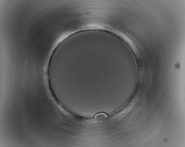 X0000102801373200809150919