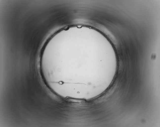 X0000102801376200809150919