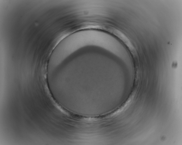 X0000102801377200809150919