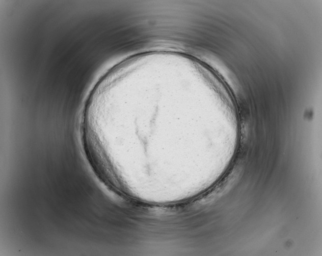 X0000102801379200809150918