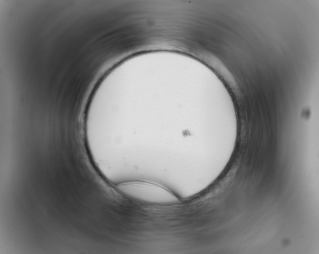 X0000102801380200809150918