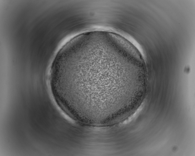 X0000102801381200809150918