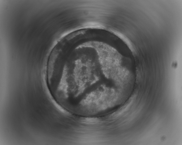 X0000102801383200809150918