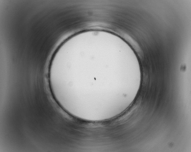 X0000102801384200809150918