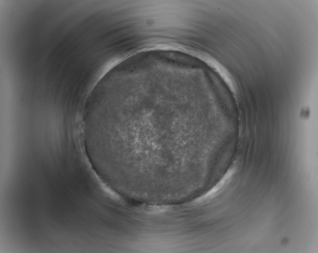 X0000102801385200809150918