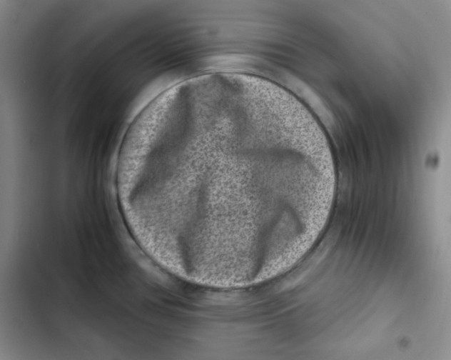 X0000102801386200809150918