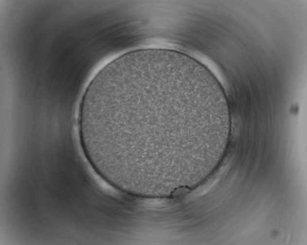 X0000102801387200809150918