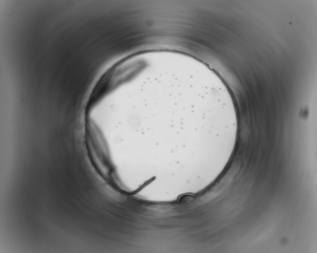 X0000102801388200809150918