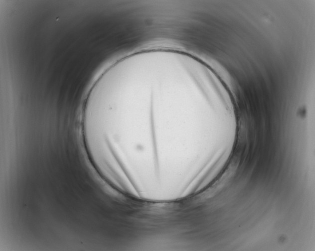 X0000102801390200809150918