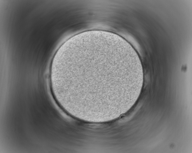 X0000102801391200809150918