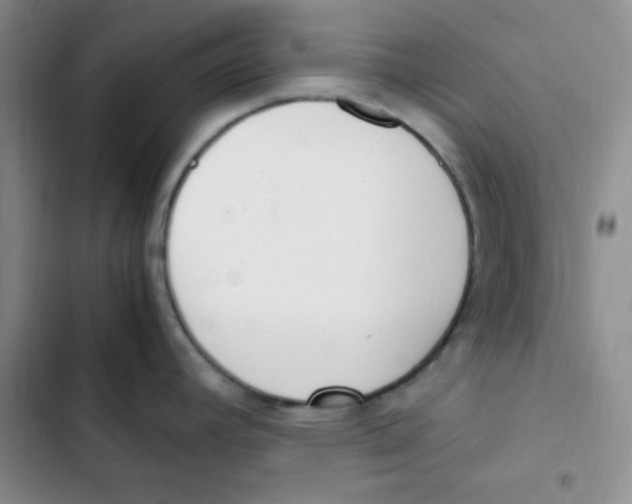 X0000102801392200809150918