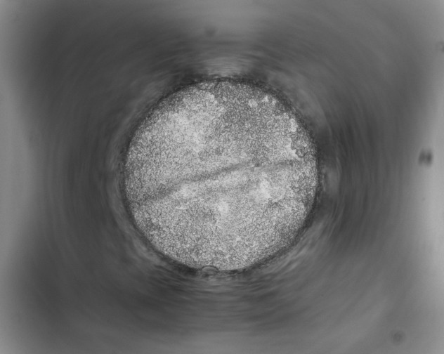 X0000102801393200809150917