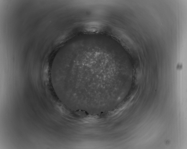 X0000102801394200809150917