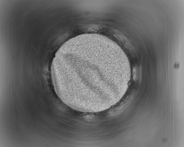 X0000102801395200809150917