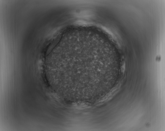 X0000102801397200809150917