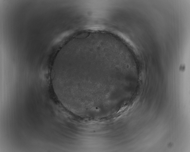 X0000102801398200809150917