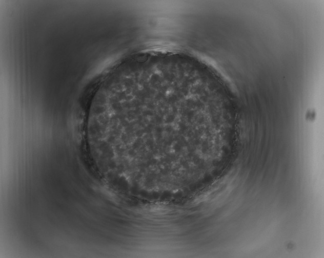 X0000102801399200809150917