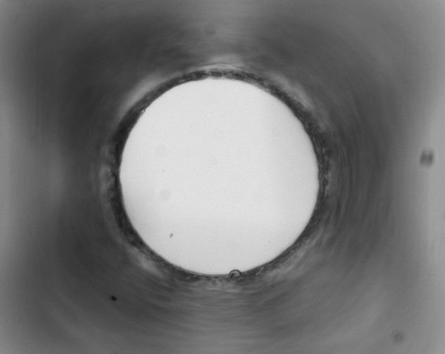 X0000102801400200809150917