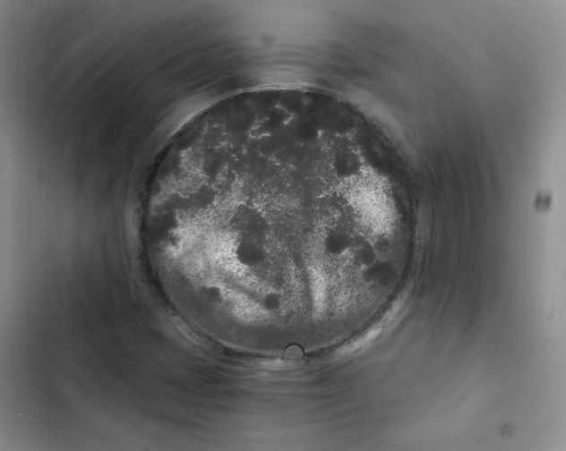 X0000102801401200809150917