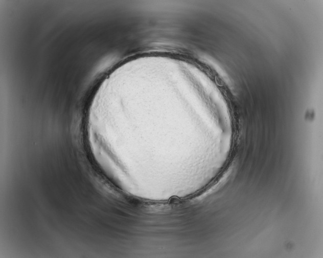 X0000102801403200809150917