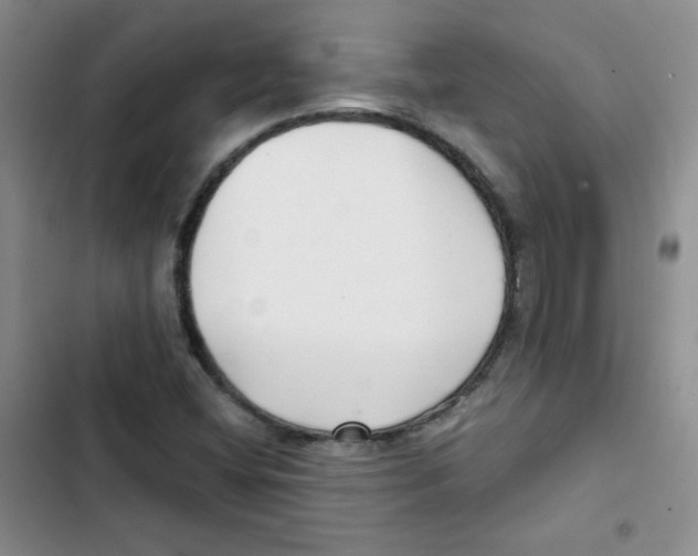 X0000102801404200809150917