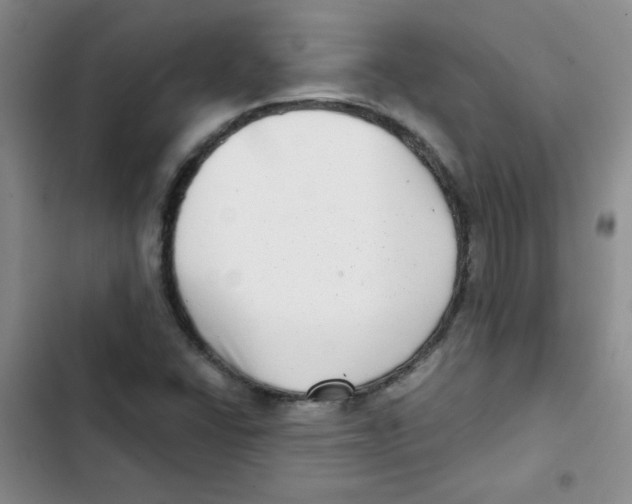 X0000102801406200809150917