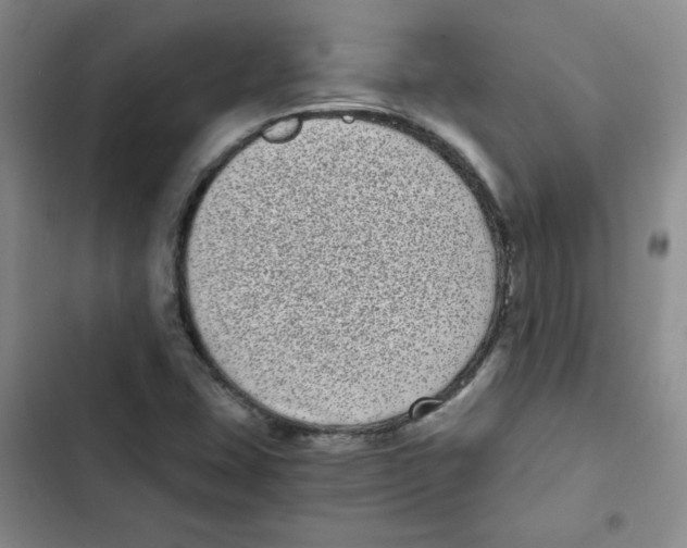 X0000102801407200809150918