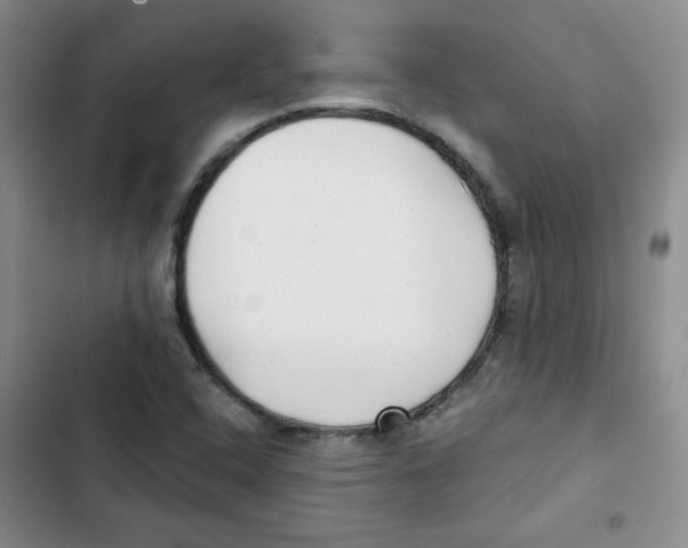 X0000102801408200809150918