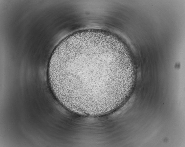 X0000102801409200809150918