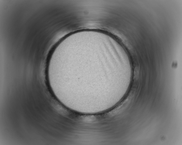 X0000102801410200809150918