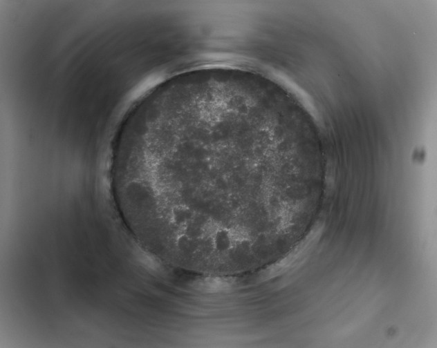 X0000102801411200809150918