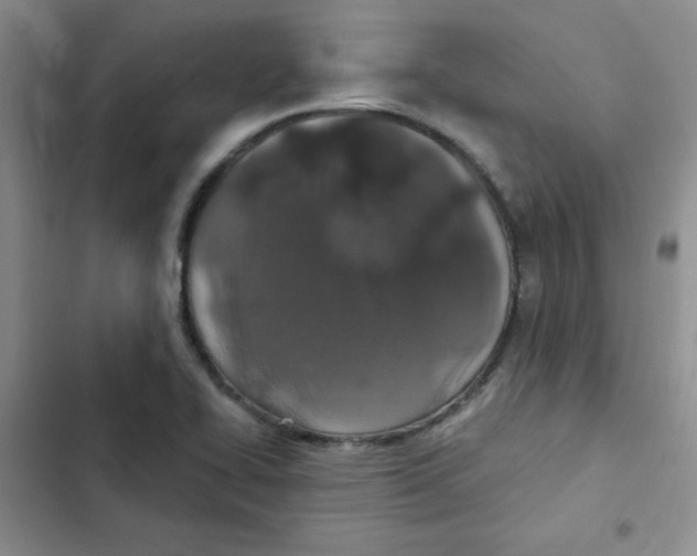 X0000102801414200809150918