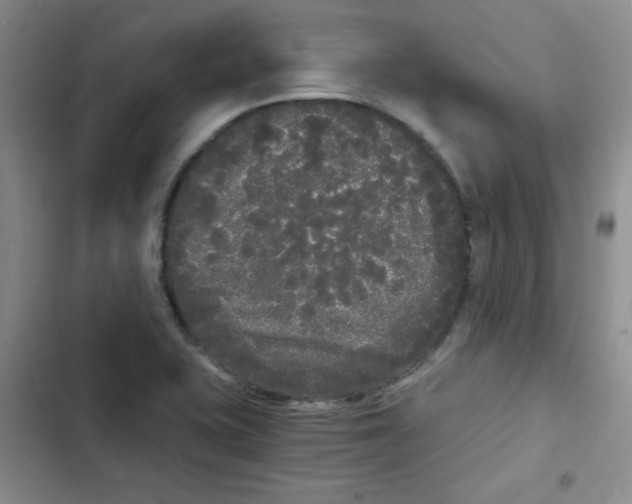 X0000102801415200809150918