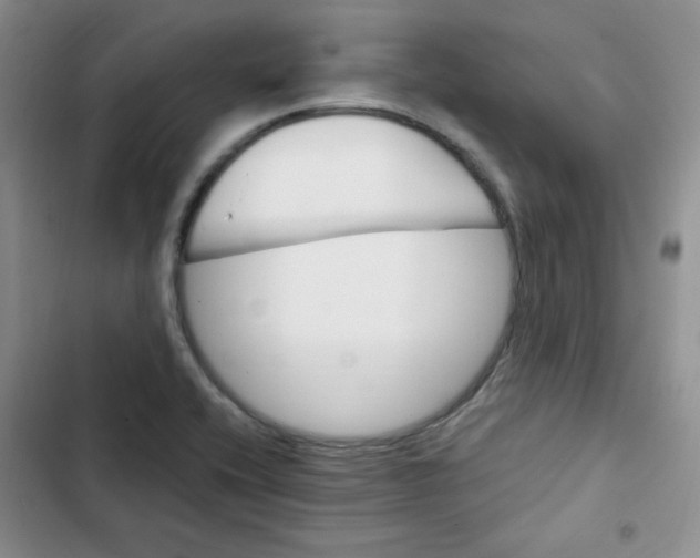 X0000102801416200809150918