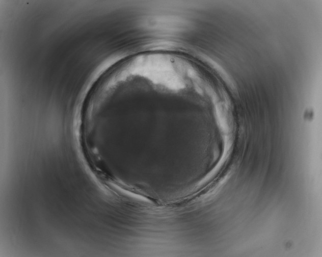 X0000102801418200809150918