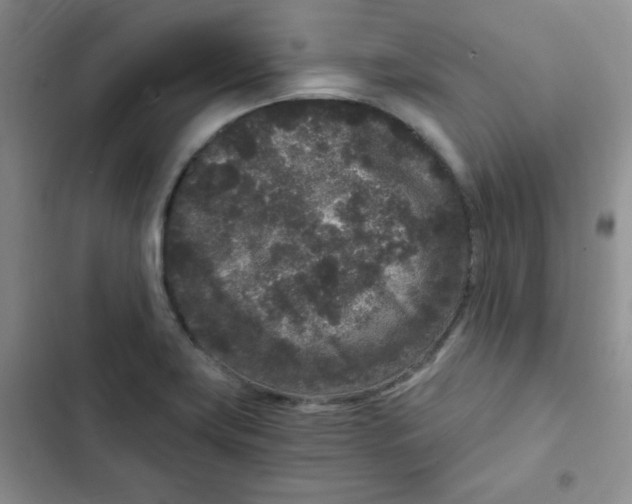 X0000102801419200809150918