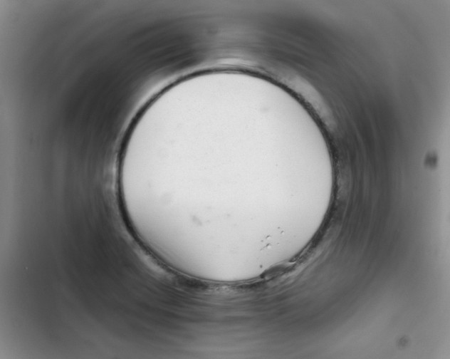 X0000102801420200809150918