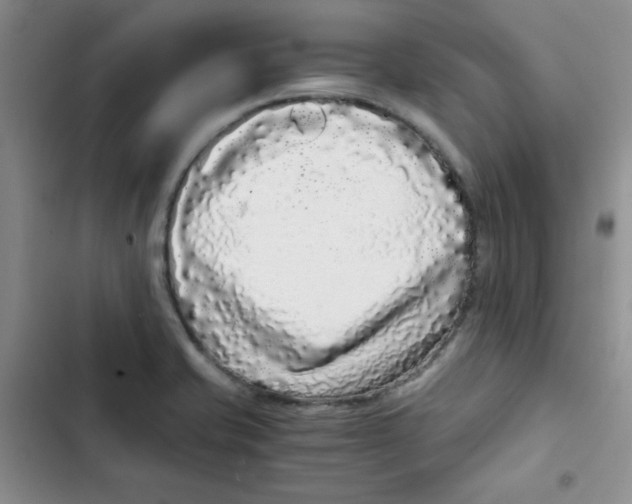 X0000102801421200809150918