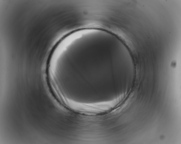 X0000102801422200809150918