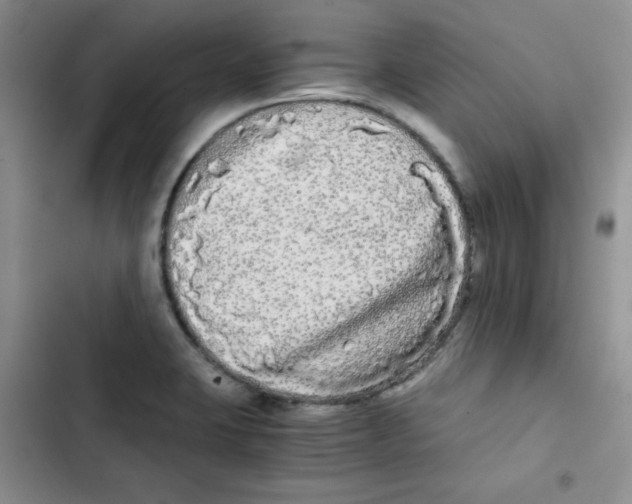 X0000102801423200809150918