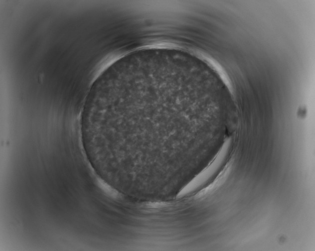 X0000102801425200809150918