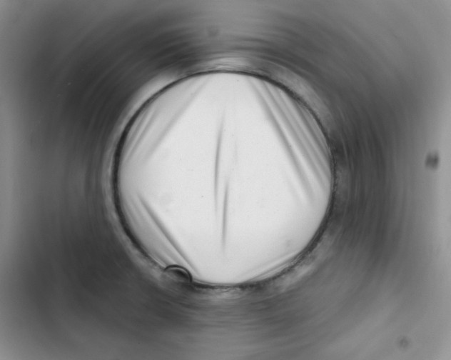 X0000102801426200809150918