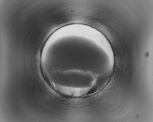 X0000102801428200809150918