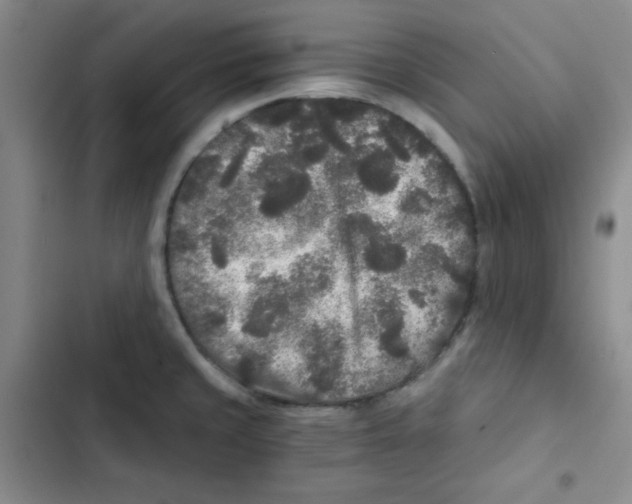 X0000102801429200809150918